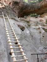 Ladder on hike