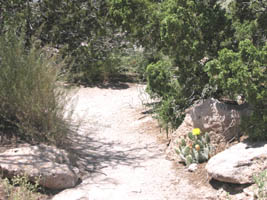 the top trail