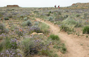 hikers