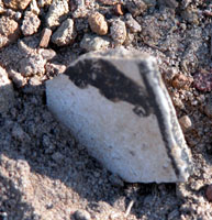 Sherd or pottery from edge of bowl