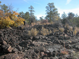 Rough terrain under foot