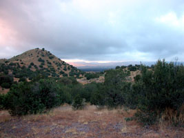 Pointed hills in the distance