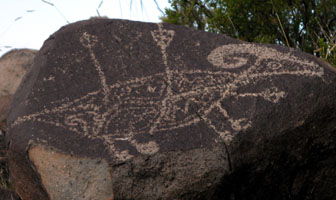 Horned sheep with arrows from a hunt