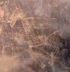 Petroglyph (rock art) of a horse