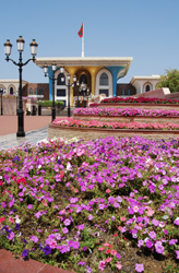 Petunias line the way to Al Alam Palace 