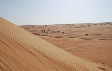 A dune Bill made me ride down