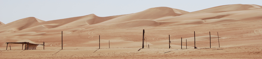 Farm along the dunes