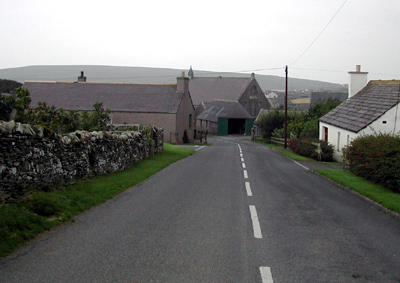 The view from the road between the two fields.