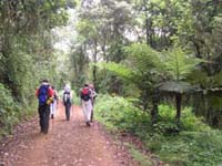 hiking up the trail