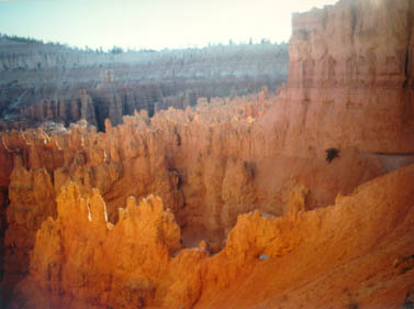 Spires reach to the sky from the canyon floor