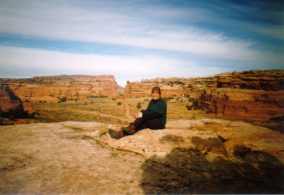 The floor of the canyon in the background