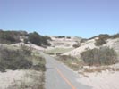 Bike Path at Race Point