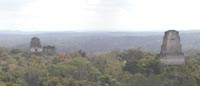 The temples over the rainforest