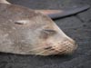 Sleeping on black sand