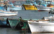 Boats in Alexandria's harbor