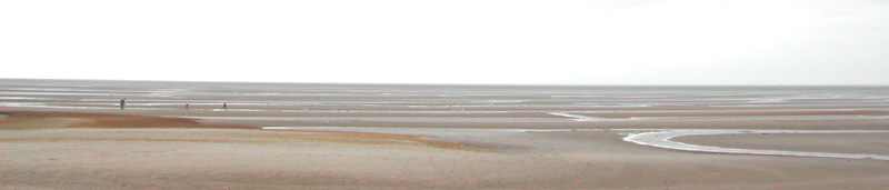 Low tide at first encounter beach