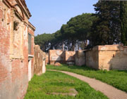 Dirt path thought the necropolis