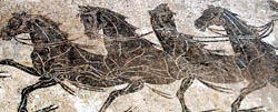 Horse mosaic floor