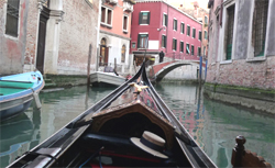 View from gondola during ride