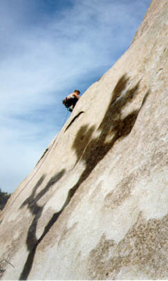 Climber in JTree