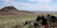 Volcanoes hike