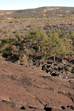 El Malpais lava field