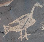 Bird Petroglyph from Petroglyph National Park